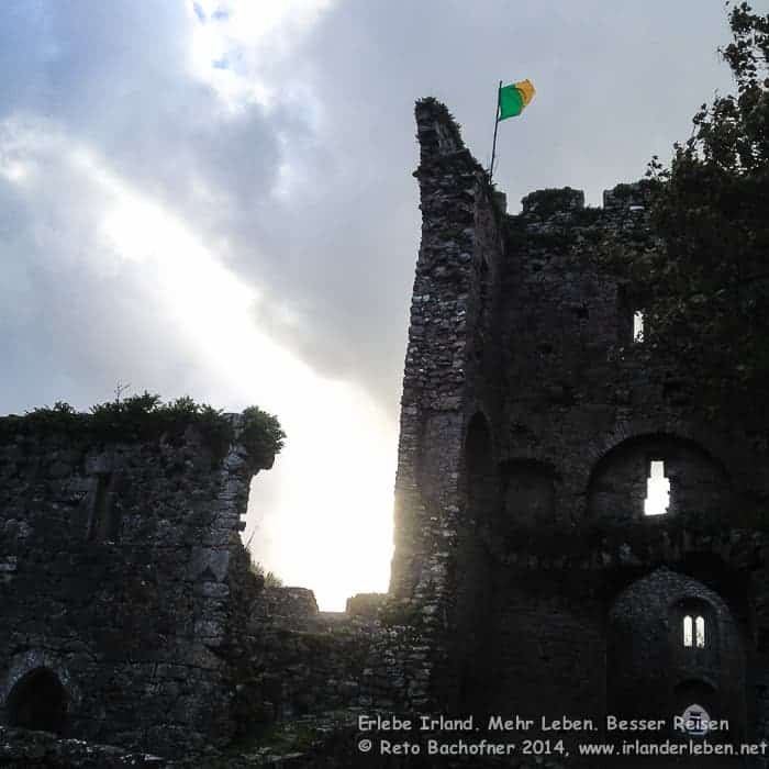 Castlelyons Friary